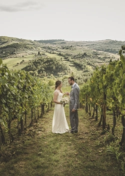 Bride and groom stand in the middle of an olive groove in Tuscany