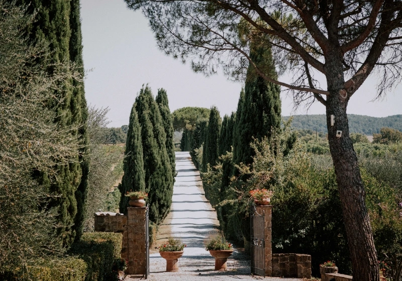Terre di Nano's entrance gate with cypresses lining the pathway