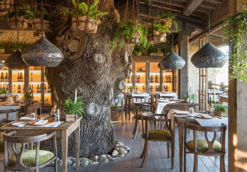 Trattoria sull'albero at Borgo Stanto Pietro, a unique restaurant with the rustic atmosphere of a real tree-house