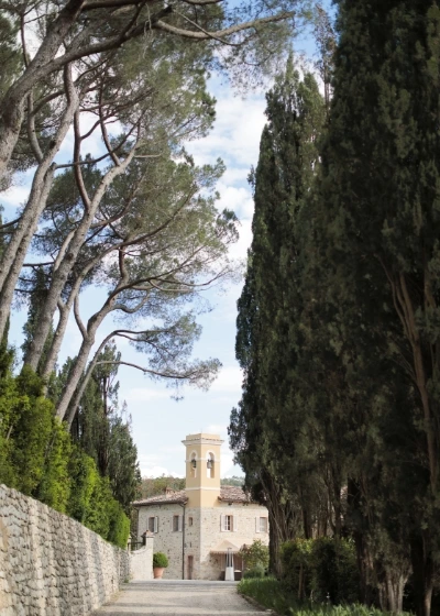 Tree-lined street in front of the church of Castiglion del Bosco